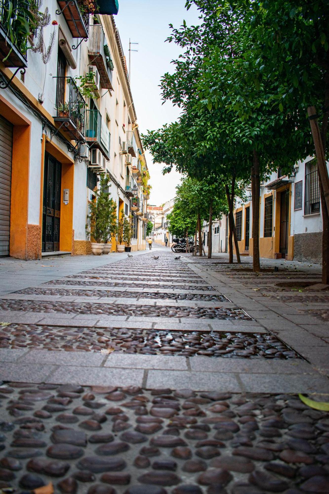 Alojamiento Entero, Centro De Cordoba Con Cochera Exteriör bild